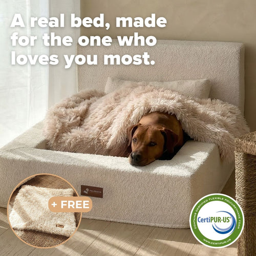 The Real Dog Bed + Free Calming Blanket