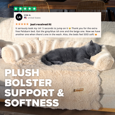 Pelsbarn Luxurious Sofa Bed ( 1+1 ) for Cats