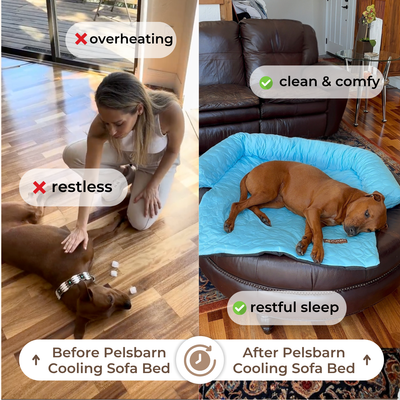 Cooling Sofa Bed