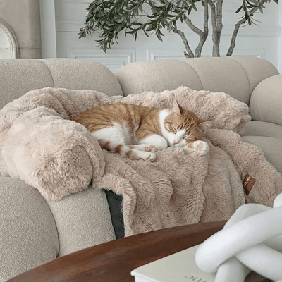 Pelsbarn Luxurious Sofa Bed ( 1+1 ) for Cats