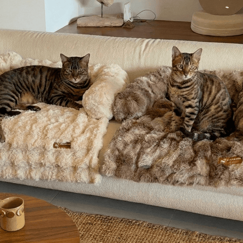 Pelsbarn Luxurious Sofa Bed ( 1+1 ) for Cats