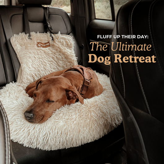 Pelsbarn™ Protecting Car Bed 2.0