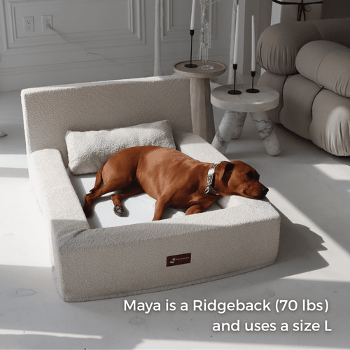 The Real Dog Bed