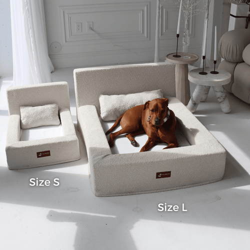 The Real Dog Bed