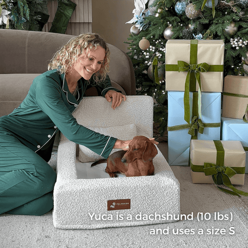 REAL orthopedic bed for dogs