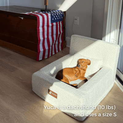REAL orthopedic bed for dogs (including mattress and pillow)