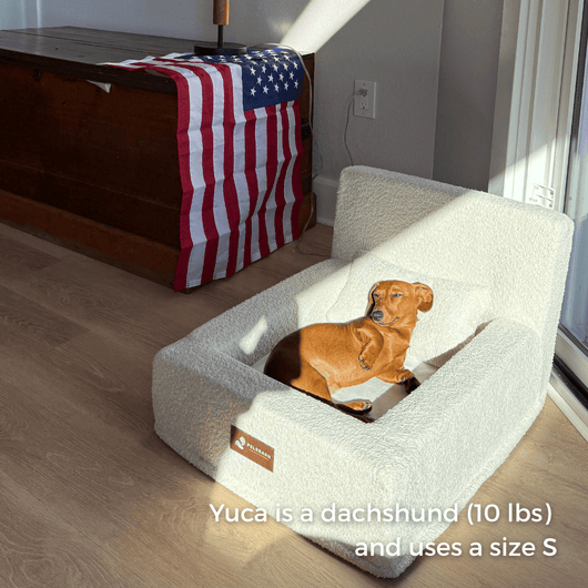 The Real Dog Bed
