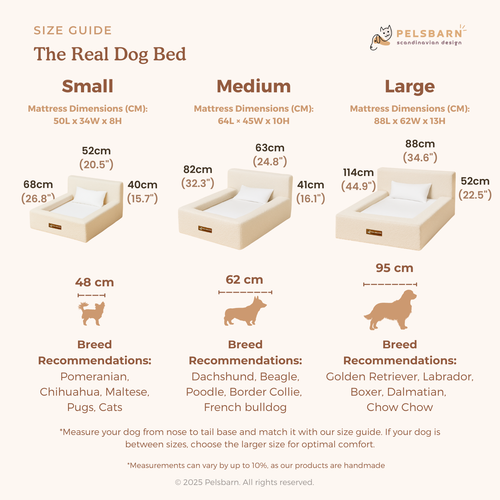 The Real Dog Bed