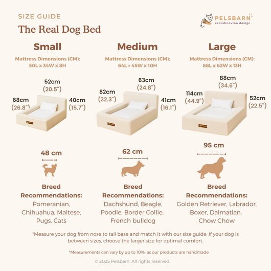 The Real Dog Bed
