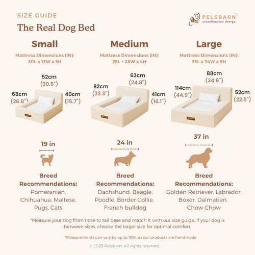 REAL orthopedic bed for dogs (including mattress and pillow)