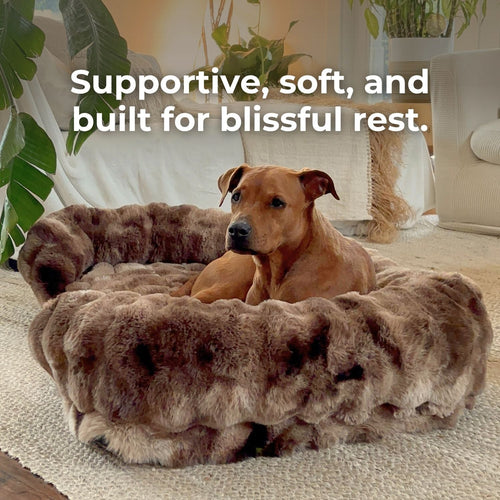 Luxurious Orthopedic Bed