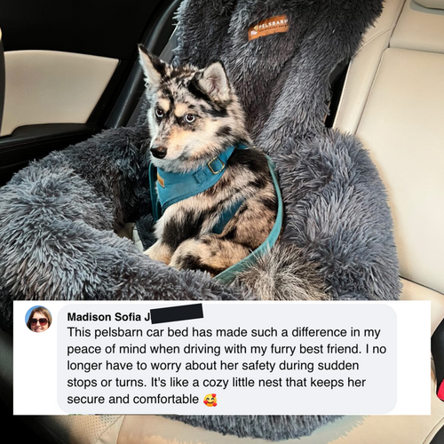 Pelsbarn Comfy Protecting Car Bed 2.0