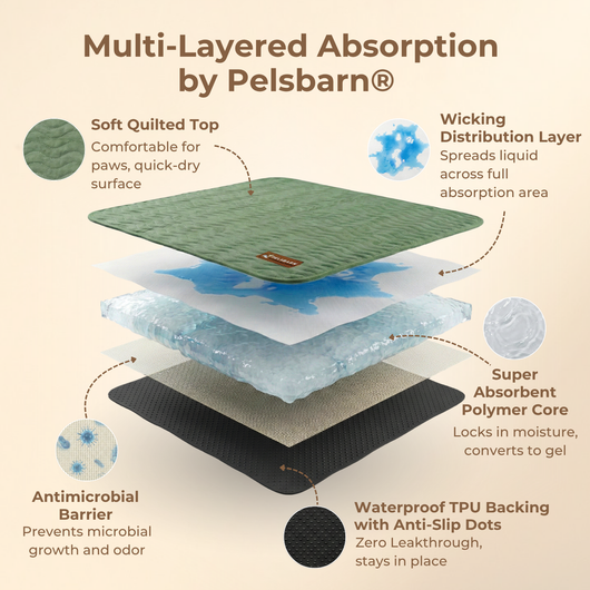 Premium Reusable Pee Pad
