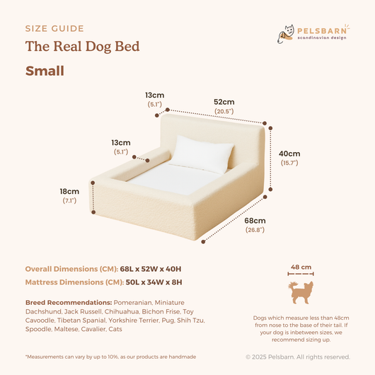 The Real Dog Bed