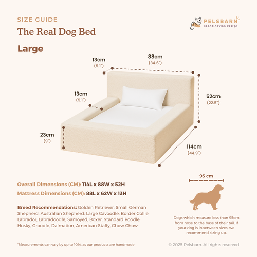 The Real Dog Bed