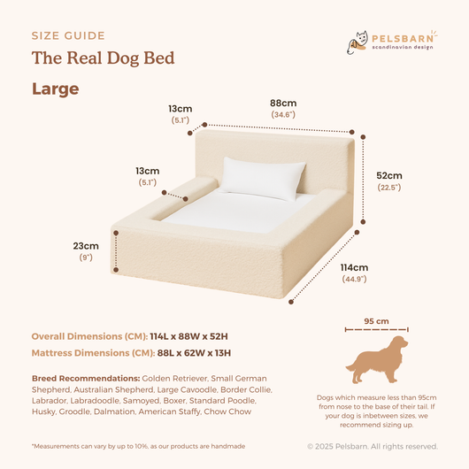 The Real Dog Bed