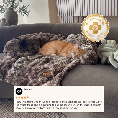 Pelsbarn Luxurious Sofa Bed ( 1+1 ) for Cats