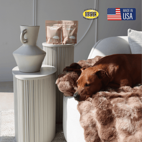 Pelsbarn Calming Chews Bundle