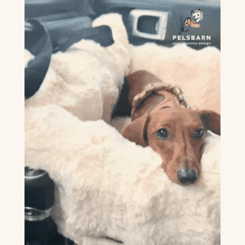 Pelsbarn Luxurious Travel Car Bed