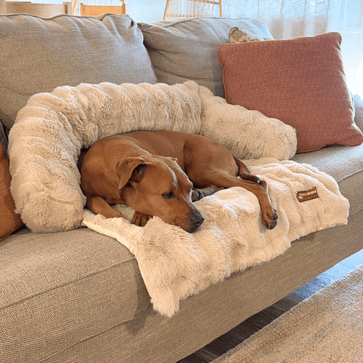 Pelsbarn Luxurious Sofa Bed ( 1+1 )