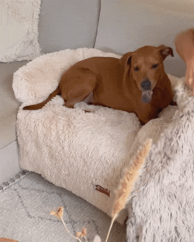 Calming Relief Blanket