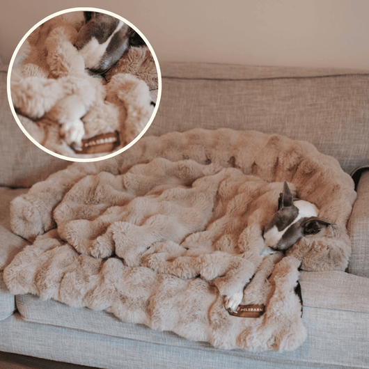 Luxurious Calming Blanket for a calm, safe, and relaxed feeling